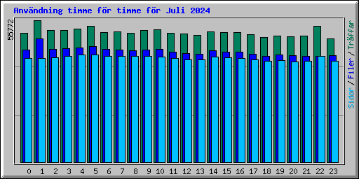 Anvndning timme fr timme fr Juli 2024