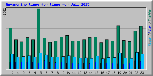 Anv�ndning timme f�r timme f�r Juli 2025