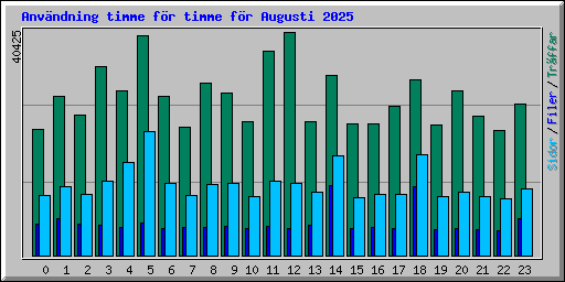 Anv�ndning timme f�r timme f�r Augusti 2025