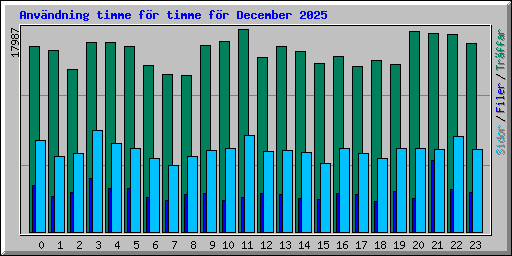 Anv�ndning timme f�r timme f�r December 2025